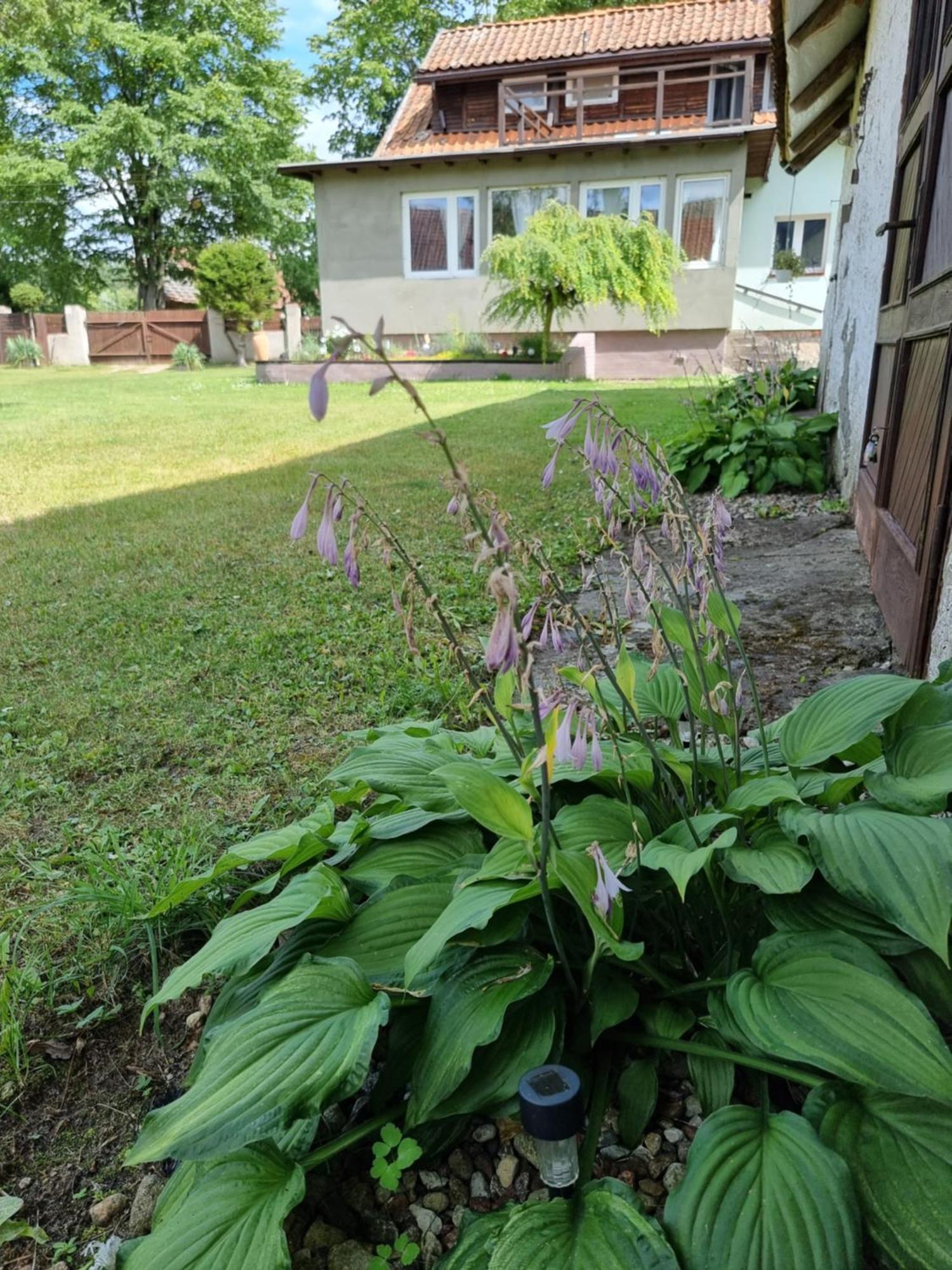 Agroturystyka Nienasycenie Brzezno Lynskie Exterior photo
